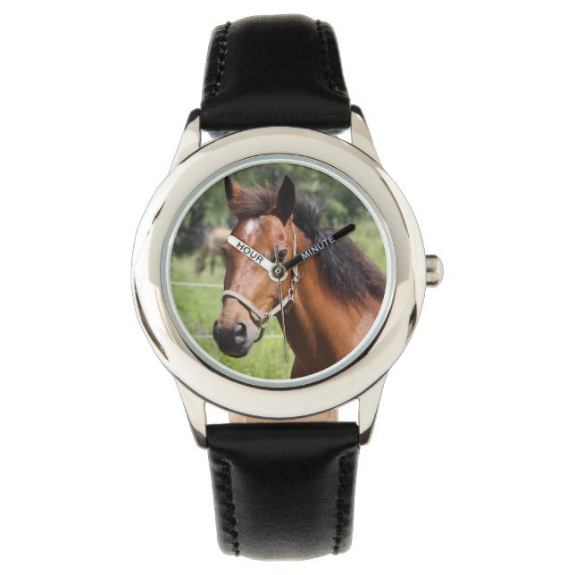 Paard Horloge (Voorkant)