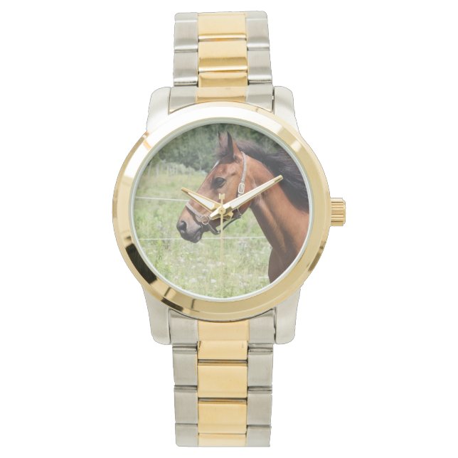 Paard Horloge (Voorkant)