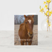 Paard Houding Denkend Aan Jou Kaart (Gele Bloem)