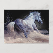 Paard in actie briefkaart (Voorkant)