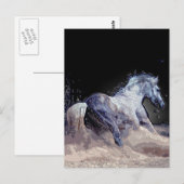 Paard in actie briefkaart (Voorkant / Achterkant)
