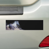 Paard in actie bumpersticker (Op auto)