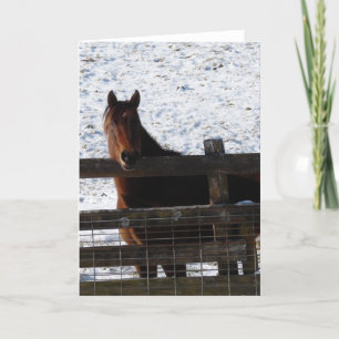 Paard in de omheining kaart
