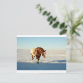 paard in de sneeuw briefkaart (Staand voorkant)
