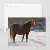 Paard in de sneeuw Kerst Feestdagenkaart (Voorkant / Achterkant)