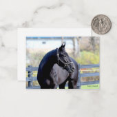 Paard in de wei notitiekaartje (Voorkant / Achterkant in situ)