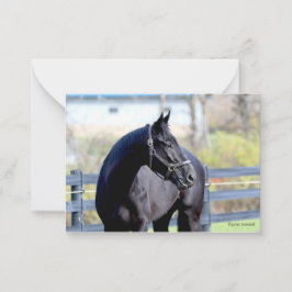 Paard in de wei notitiekaartje