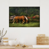 Paard - In de wei Poster (Keuken)
