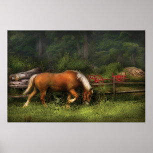 Paard - In de wei Poster