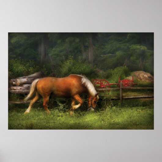 Paard - In de wei Poster (Voorkant)
