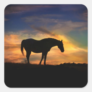  paard in de Zuidwestelijke Sunset Stickers
