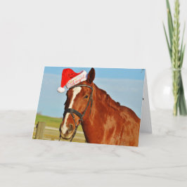Paard in een kerstmuts feestdagen kaart