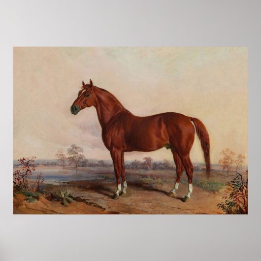 Paard in een Landschap  Kunst Poster (Voorkant)