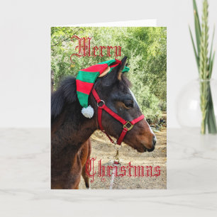 Paard in Elf Hoed Vouwbare Kerstkaart Feestdagen Kaart