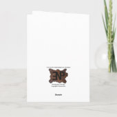 Paard in Elf Pet Gevouwen Vakantie Kaart (Achterkant)