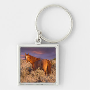 Paard in Harney County staat alert Sleutelhanger