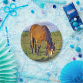 paard in het bord van de weide (Feest)