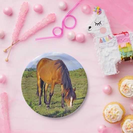 paard in het bord van de weide (Feest)