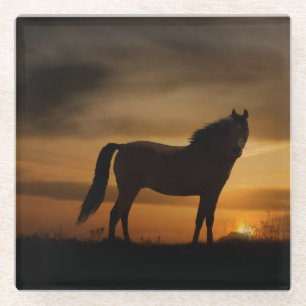  paard in het Onderzetter van de zon