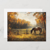 Paard in het veld Gouden Uur Schilderij Briefkaart (Voorkant / Achterkant)