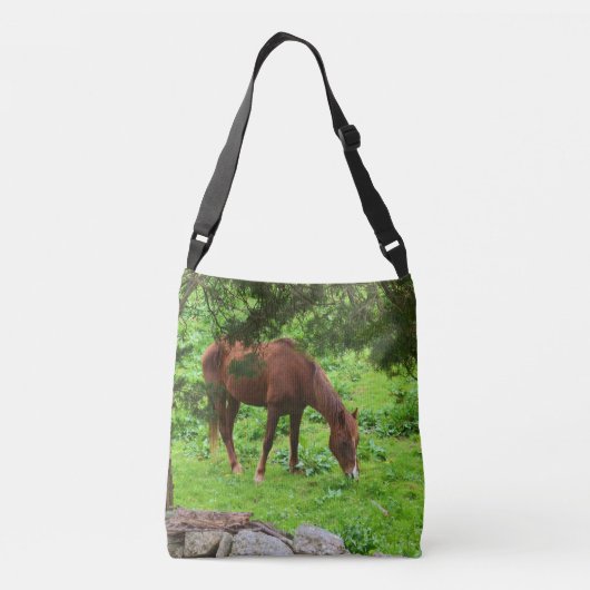 Paard in het voorjaar crossbody tas (Achterkant)