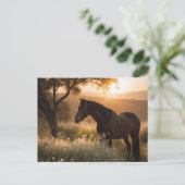 Paard in landschap briefkaart (Staand voorkant)