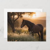 Paard in landschap briefkaart (Voorkant / Achterkant)