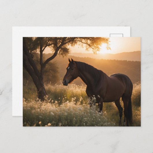 Paard in landschap briefkaart (Voorkant / Achterkant)