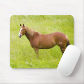 Paard in lentveld muismat (Met muis)