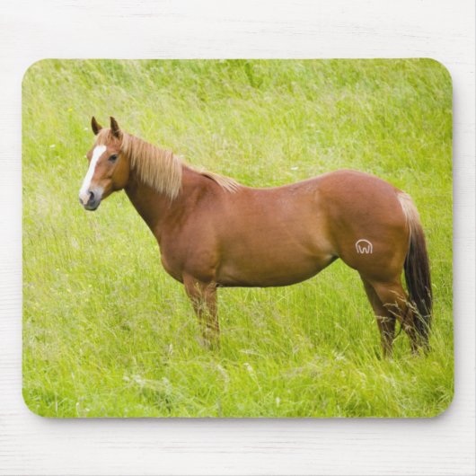Paard in lentveld muismat (Voorkant)