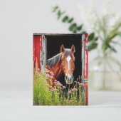 Paard in schuurdeur briefkaart (Staand voorkant)