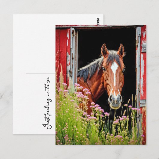Paard in schuurdeur briefkaart (Voorkant / Achterkant)