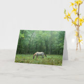 Paard in Weide Kaart (Gele Bloem)