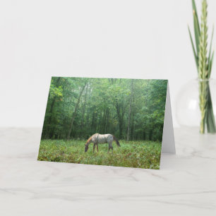 Paard in Weide Kaart
