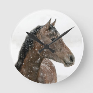 Paard in winter ronde klok