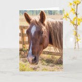 Paard in zonlicht Fotografie Blank Inside Kaart (Gele Bloem)