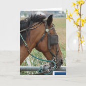  paard kaart (Gele Bloem)