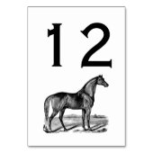  paard kaart (Voorkant)