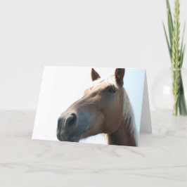 Paard Kaart