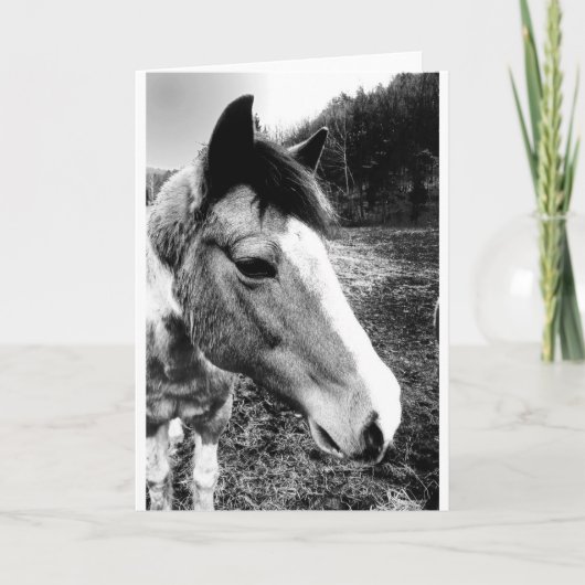 Paard Kaart (Voorkant)