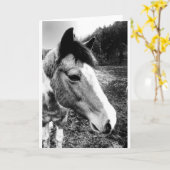 Paard Kaart (Gele Bloem)