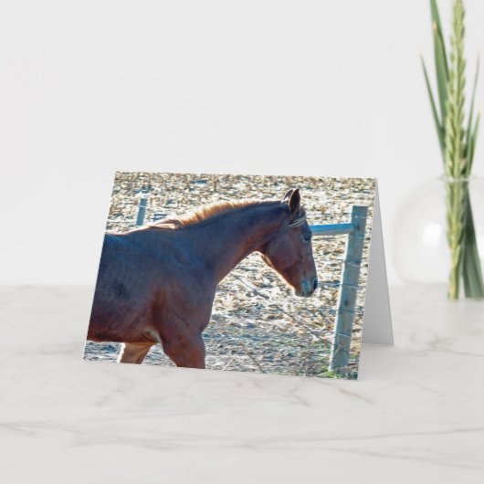 Paard Kaart (Voorkant)