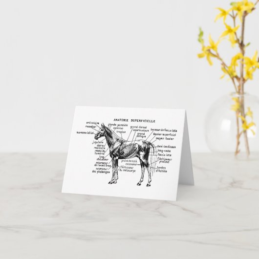 Paard Kaart (Gele Bloem)