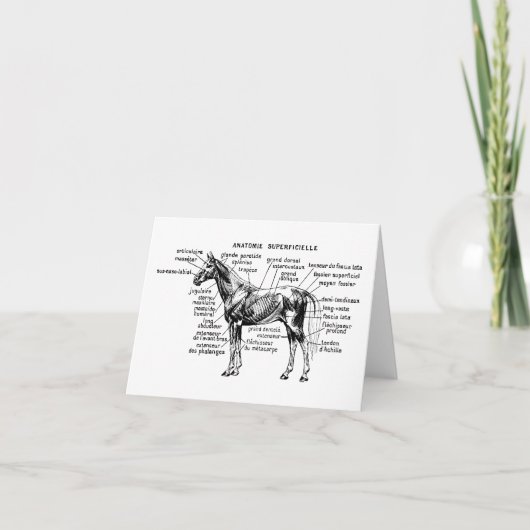 Paard Kaart (Voorkant)