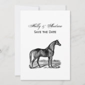  paard kaart (Voorkant)