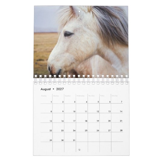 Paard Kalender (Aug 2027)
