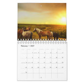 Paard Kalender (Feb 2027)