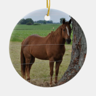 Paard Keramisch Ornament