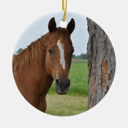 Paard Keramisch Ornament (Voorkant)