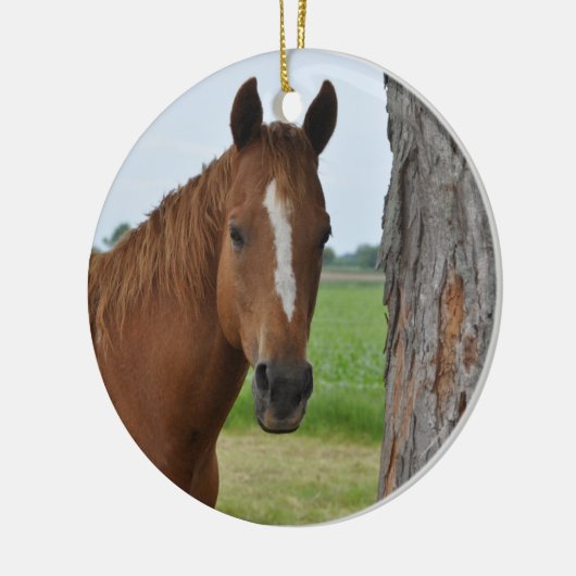 Paard Keramisch Ornament (Links)